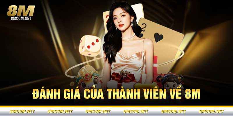Đánh giá của thành viên về 8M