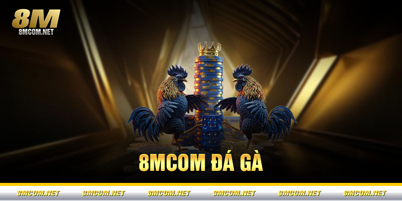 Đá Gà 8M – Trải Nghiệm Giải Trí Đỉnh Cao, Hấp Dẫn Nhất